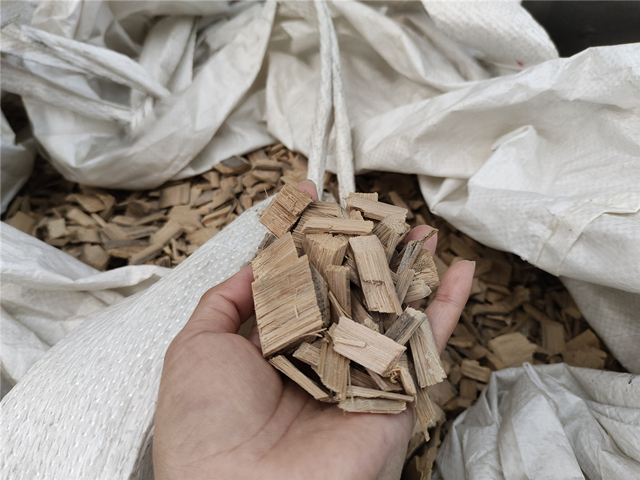 竹片糖心VLOG下载网页試機現場